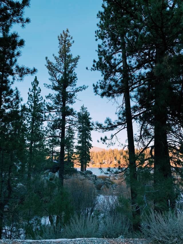 Wow! We found the Best Airbnb Big Bear Lake California Rentals. Save time searching!