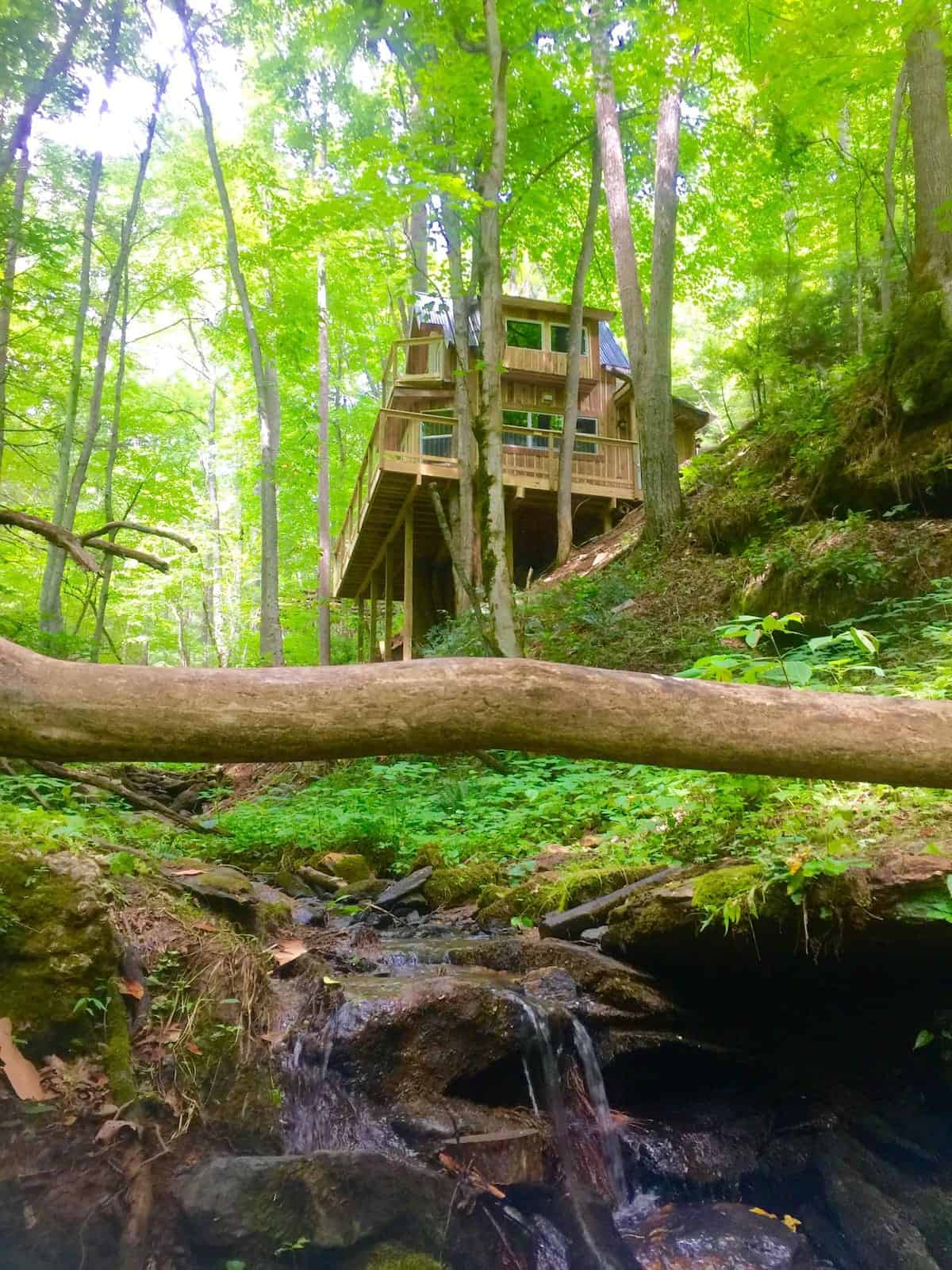 Image of treehouse rental in North Carolina