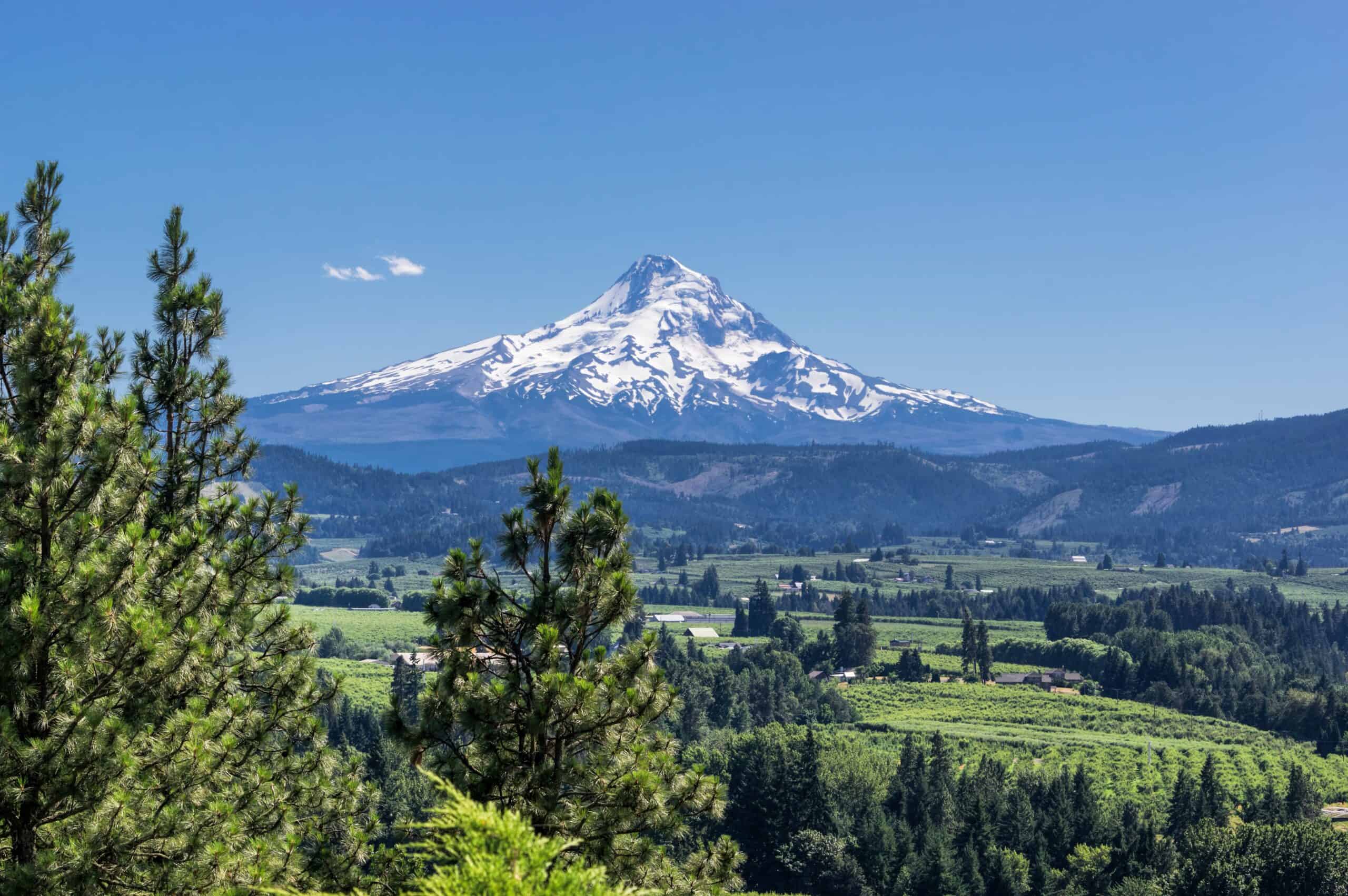 Wow! We found the Best Airbnb Mount Hood, Oregon Rentals. Save time searching!