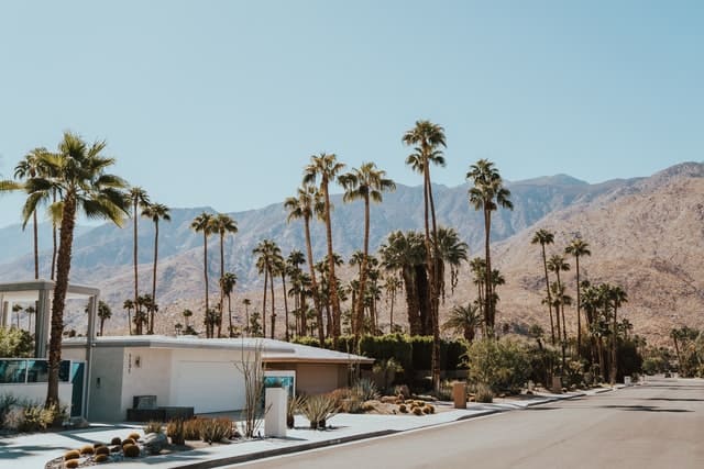 Palm Springs California street with palm trees and desert mountains