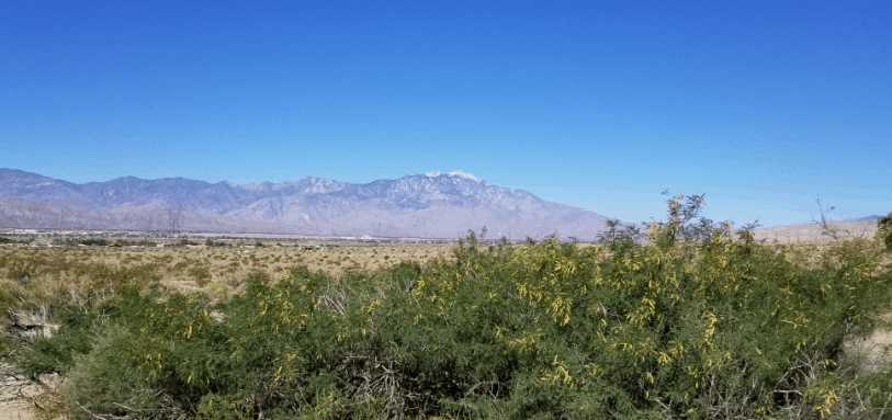 Mountain range view from Palm Springs desert