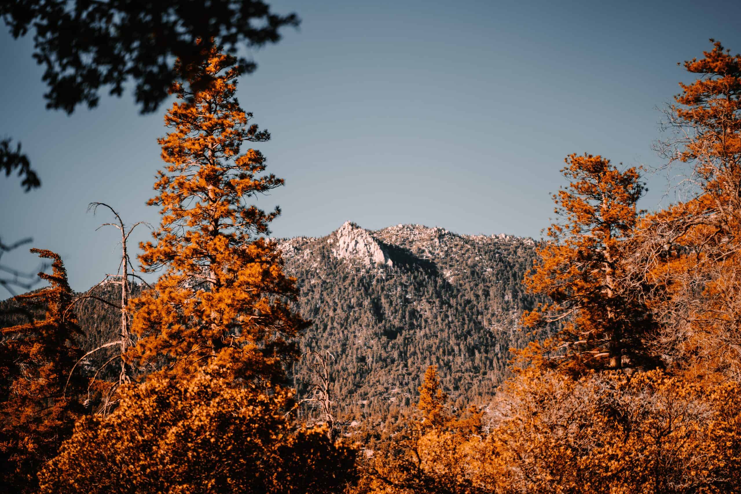 Wow! We found the Best Airbnb Idyllwild, California Rentals. Save time searching!