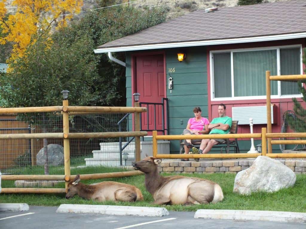 Yellowstone Gateway Inn hotel image