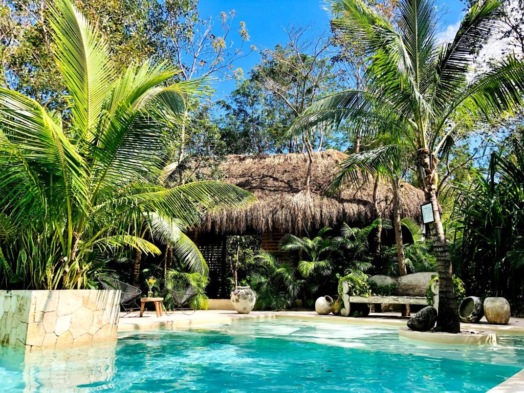 Check out this fantastic budget Airbnb near Tulum Mexico