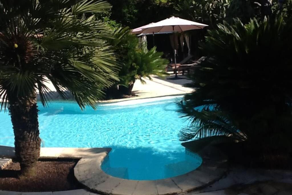 Cannes Villa piscine proche centre ville image