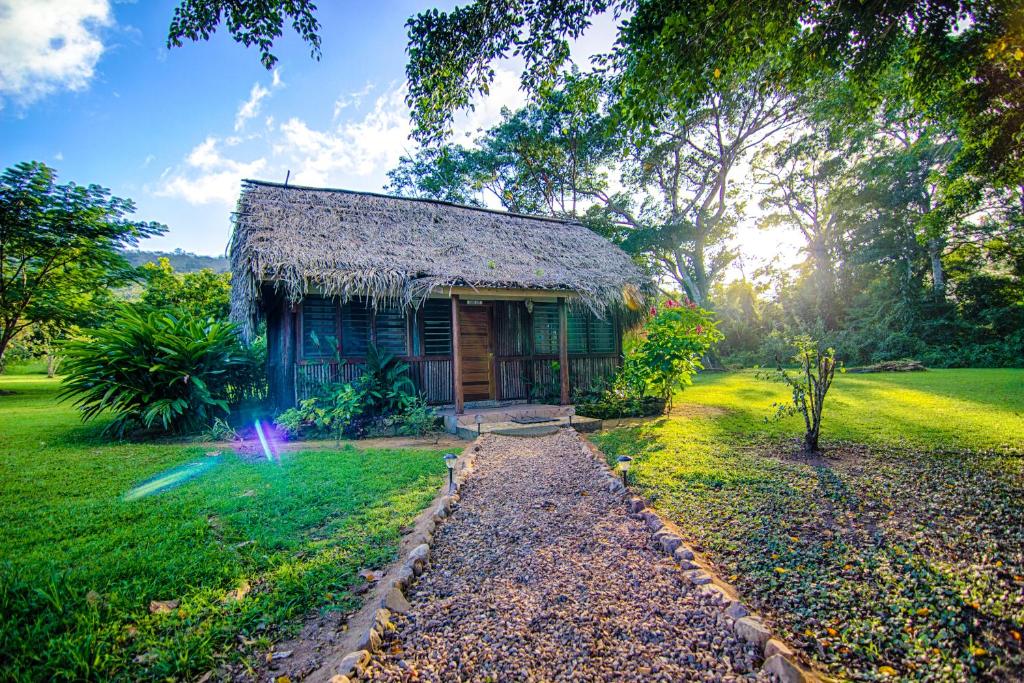 Bocawina Rainforest Resort image