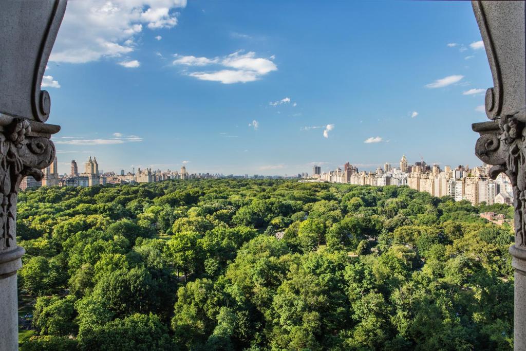 The Ritz-Carlton New York, Central Park image