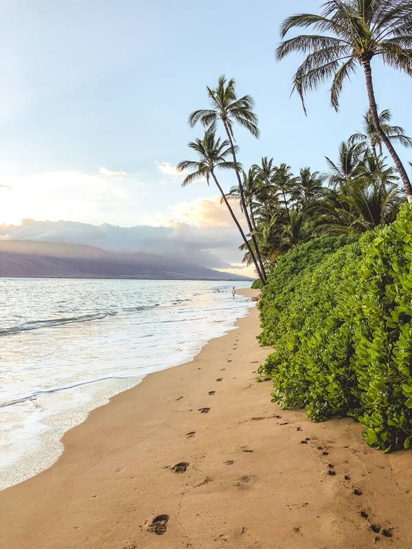 Wow! We found the Best Rental Maui. Save time searching!
