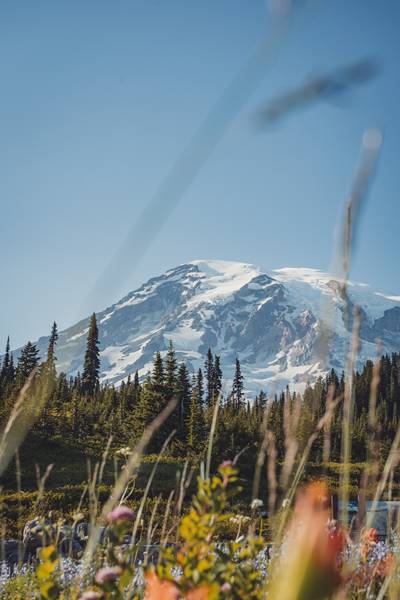 Mt Rainier National Park, Washington, USA