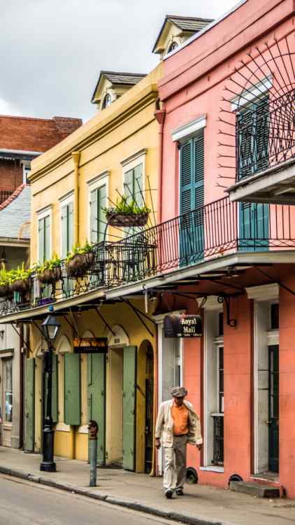 Wow! We found the Best Pet Friendly Hotel New Orleans. Save time searching!