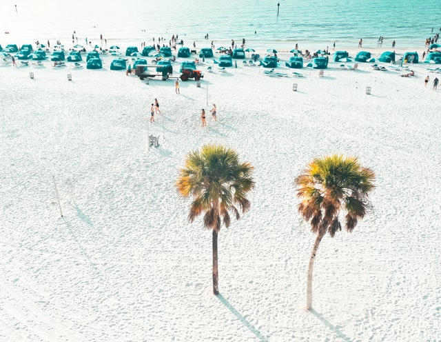 Best Pet-Friendly Clearwater Beach Florida Hotels