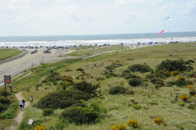Wow! We found the Best Pet Friendly Hotel Ocean Shores. Save time searching!