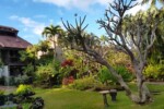 12 Dreamy AirBNB Kihei Vacation Rentals 14